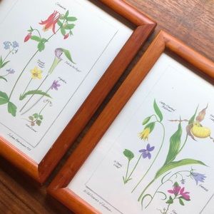 SET OF 2: Wildflowers of America JoAnna Poehlmann 1988 Prints